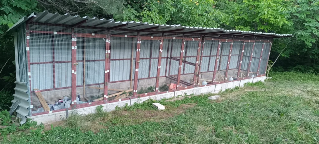 Muhammed Kalyoncu'nun bölmeli kümesi: evcik çelik karkas, tel kafes ve trapez çatı